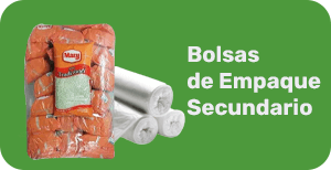 Secundario